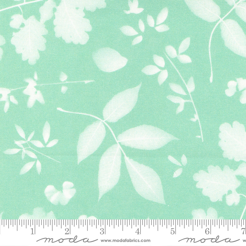 16961 14 Bluebell Sage By-the-Yard