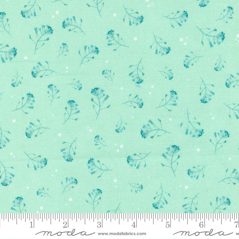 16963 14 Bluebell Sage By-the-Yard