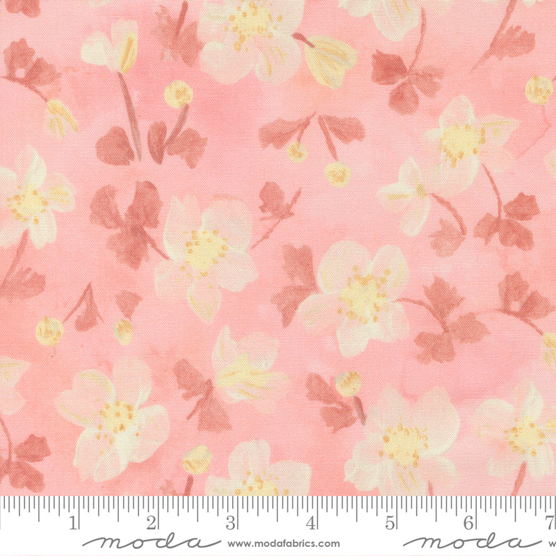 24641 11 Sweet Cecily Rose By-the-Yard