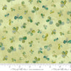 24643 13 Sweet Cecily Bud By-the-Yard