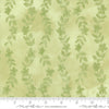 24646 13 Sweet Cecily Bud By-the-Yard