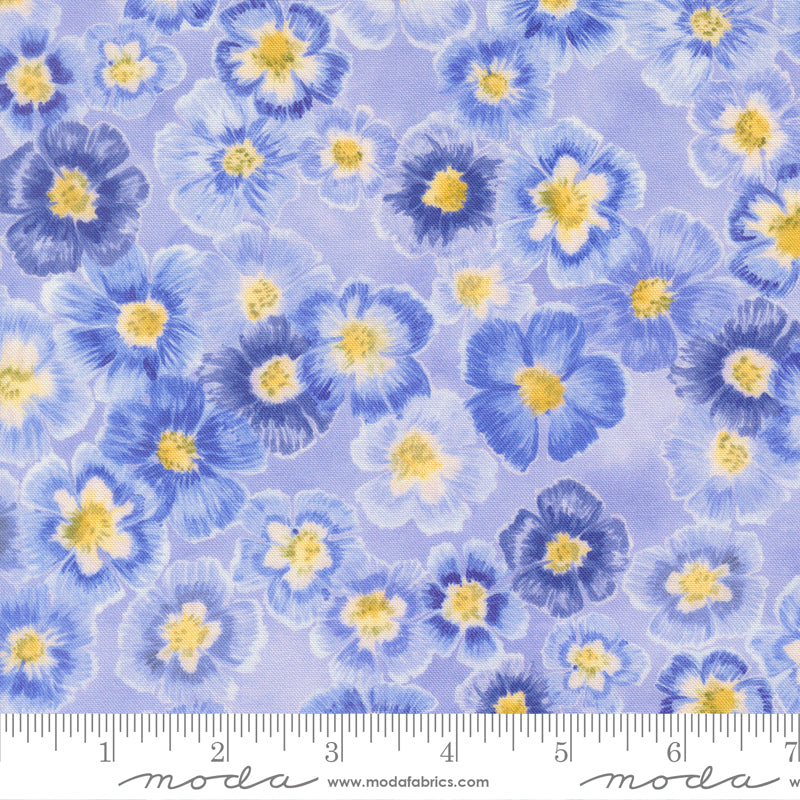 24650 13 Delphinium Bluebell By-the-Yard