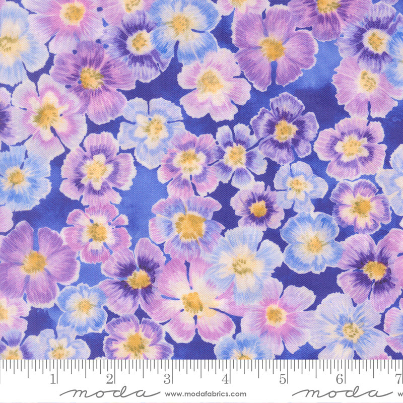24650 15 Delphinium Agapanthus By-the-Yard