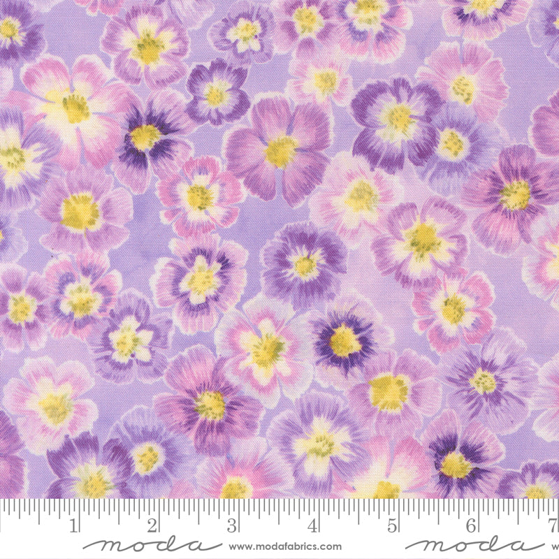 24650 17 Delphinium Mauve By-the-Yard