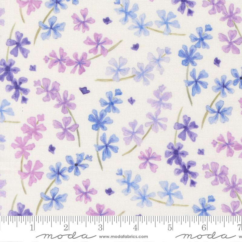 24651 11 Delphinium Snowdrop By-the-Yard