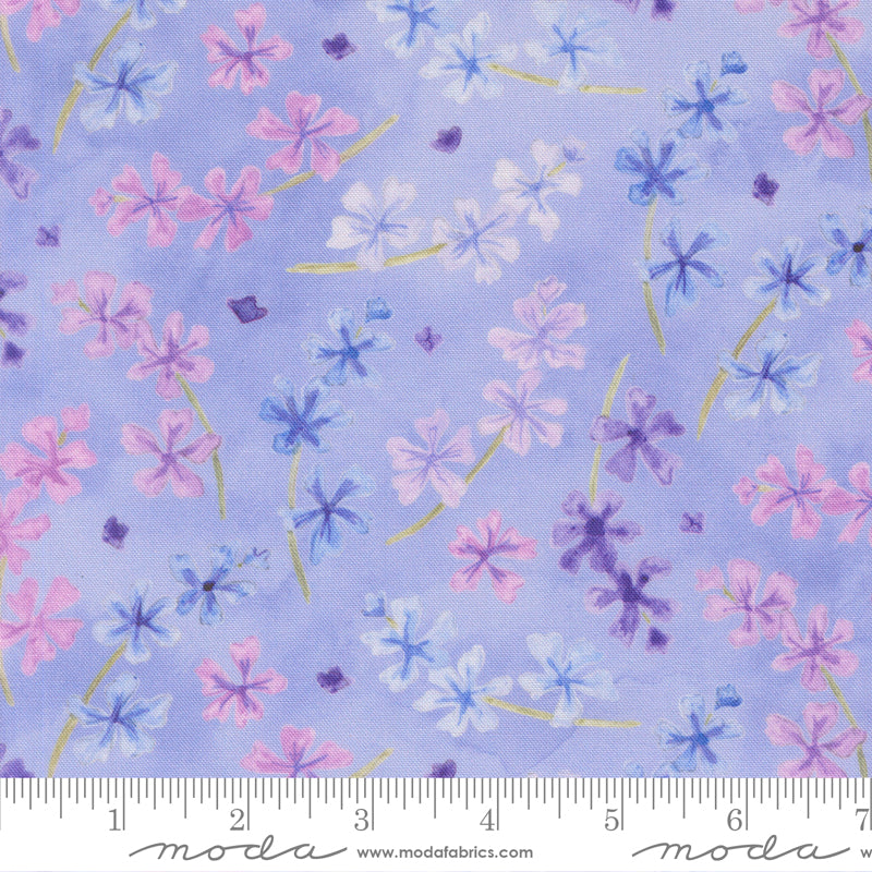 24651 13 Delphinium Bluebell By-the-Yard