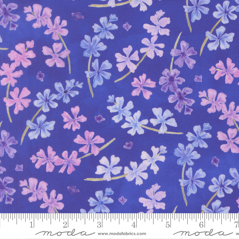 24651 15 Delphinium Agapanthus By-the-Yard