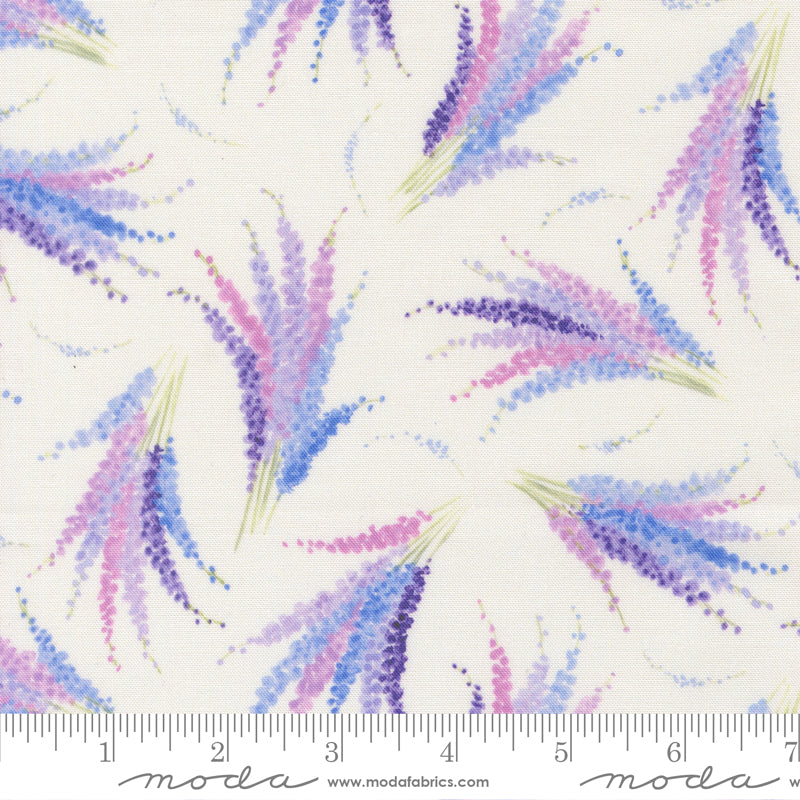 24652 11 Delphinium Snowdrop By-the-Yard