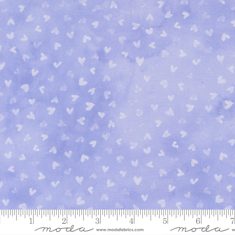24653 13 Delphinium Lilac By-the-Yard