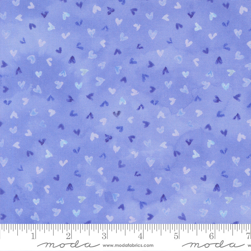 24653 14 Delphinium Bluebell By-the-Yard