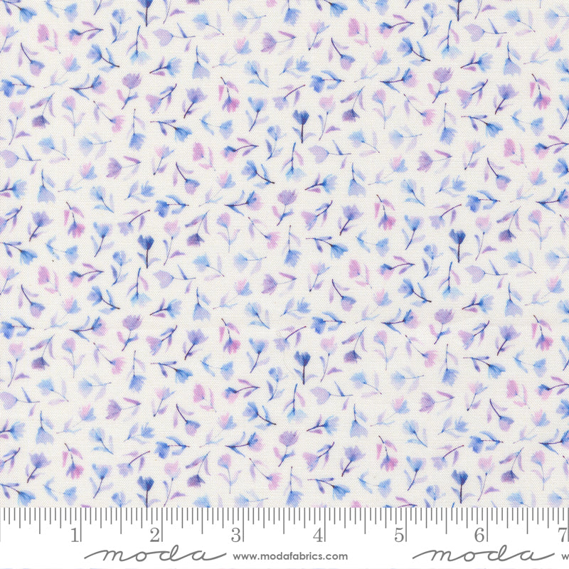 24654 11 Delphinium Snowdrop By-the-Yard