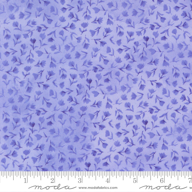 24654 13 Delphinium Bluebell By-the-Yard