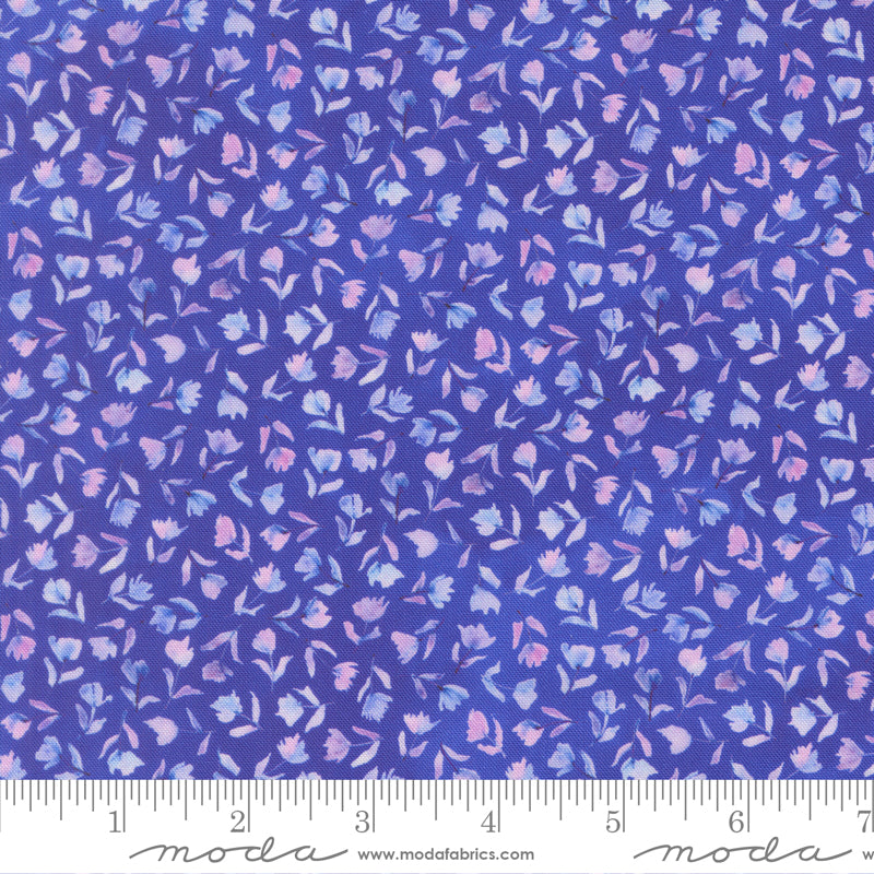 24654 14 Delphinium Agapanthus By-the-Yard
