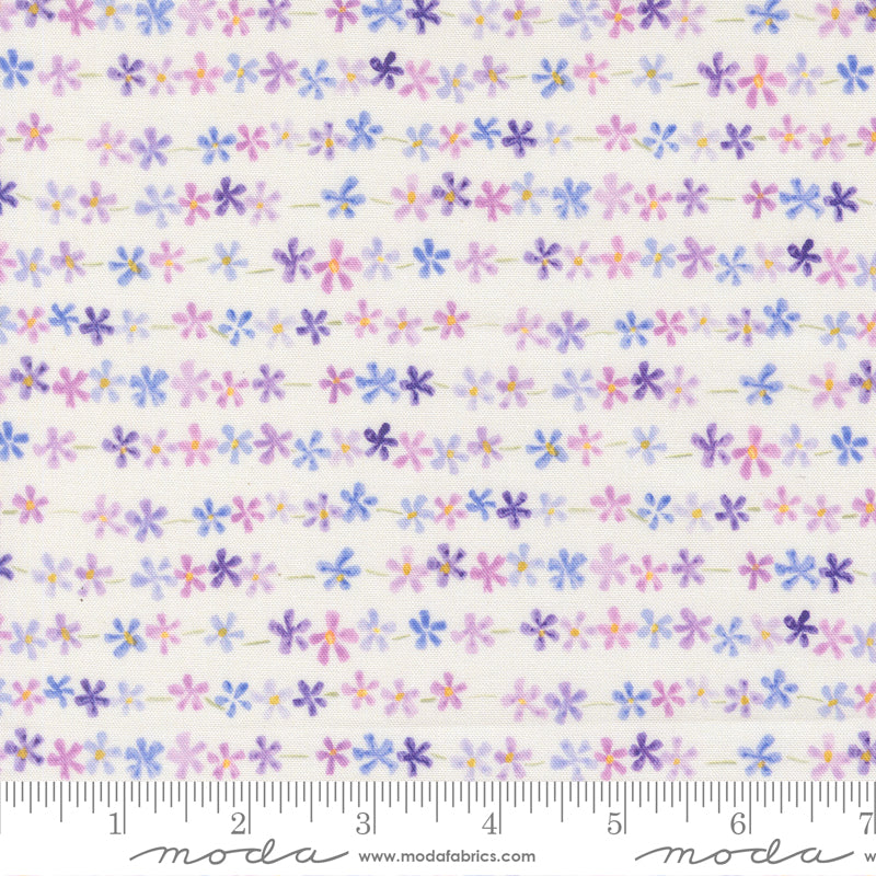 24655 11 Delphinium Snowdrop By-the-Yard