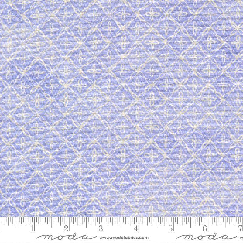 24656 15 Delphinium Lilac By-the-Yard