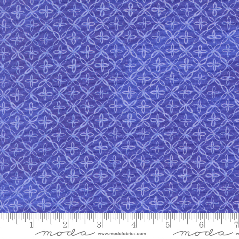 24656 18 Delphinium Agapanthus By-the-Yard