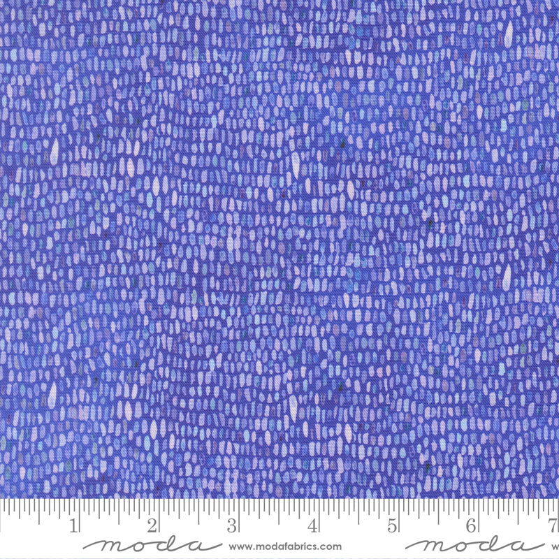 24658 16 Delphinium Agapanthus By-the-Yard