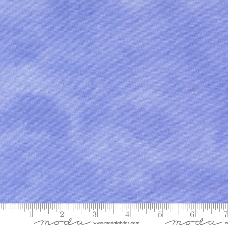 24660 13 Delphinium Bluebell By-the-Yard
