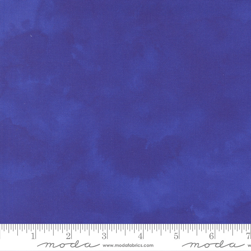 24660 14 Delphinium Agapanthus By-the-Yard