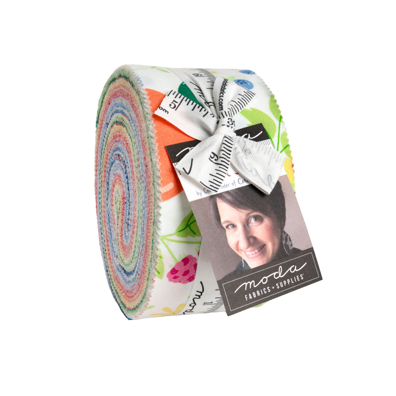29240JR Fruit Salad Jelly Roll