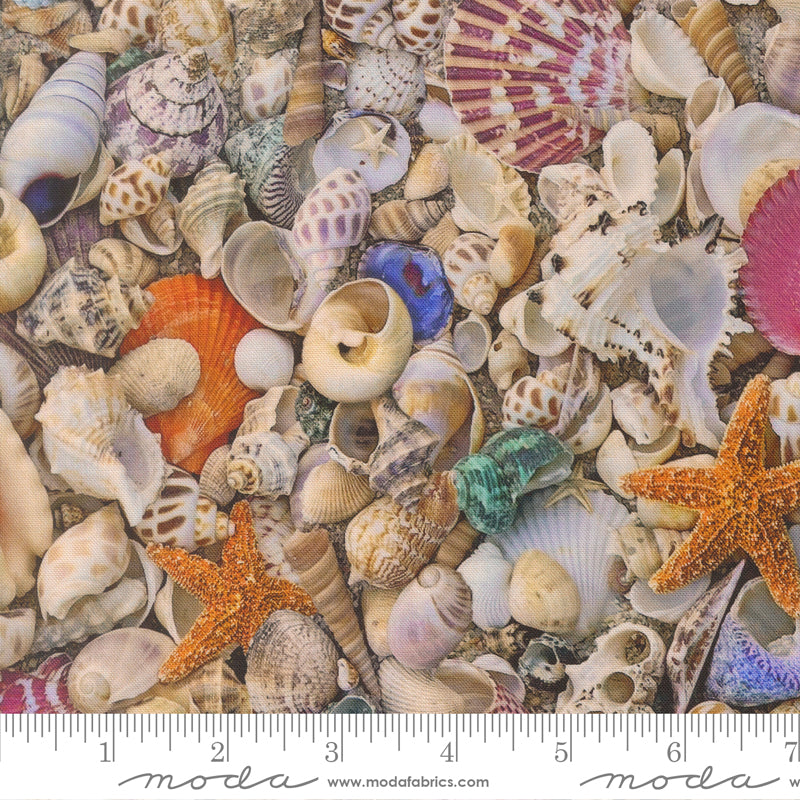 39570 11 Saltwater Shell By-the-Yard