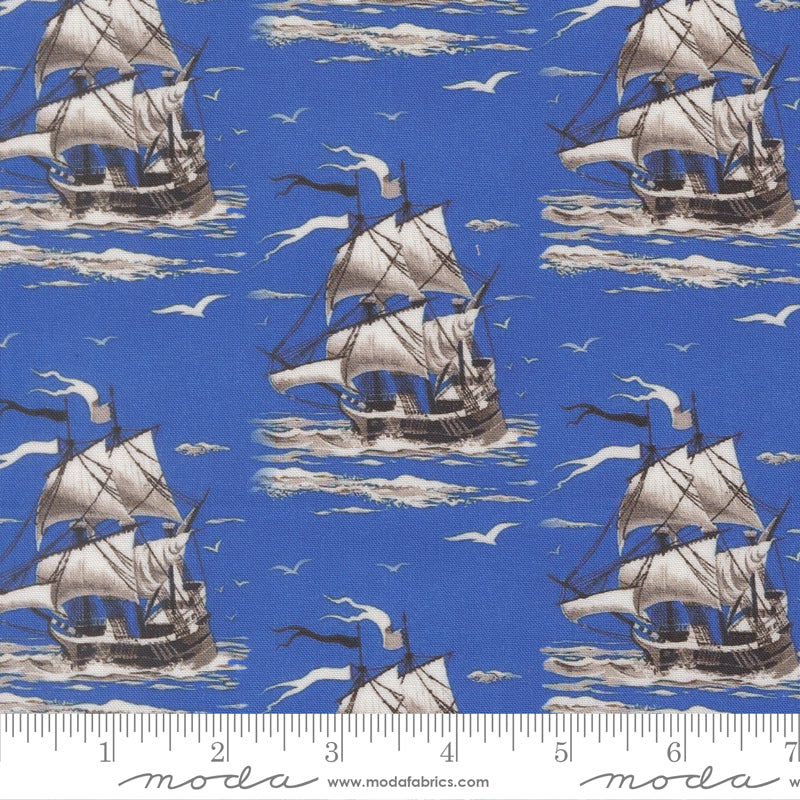 39573 13 Saltwater Ocean By-the-Yard