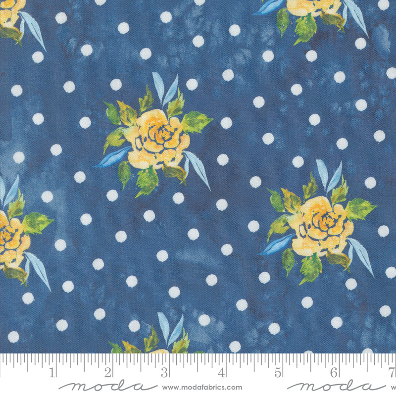 39821 13 Sunshine and Blue Skies Lake By-the-Yard