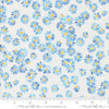 39827 11 Sunshine and Blue Skies Water By-the-Yard