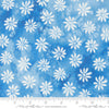 39828 12 Sunshine and Blue Skies Bluebell By-the-Yard