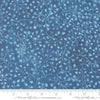 39830 16 Sunshine and Blue Skies Lake By-the-Yard