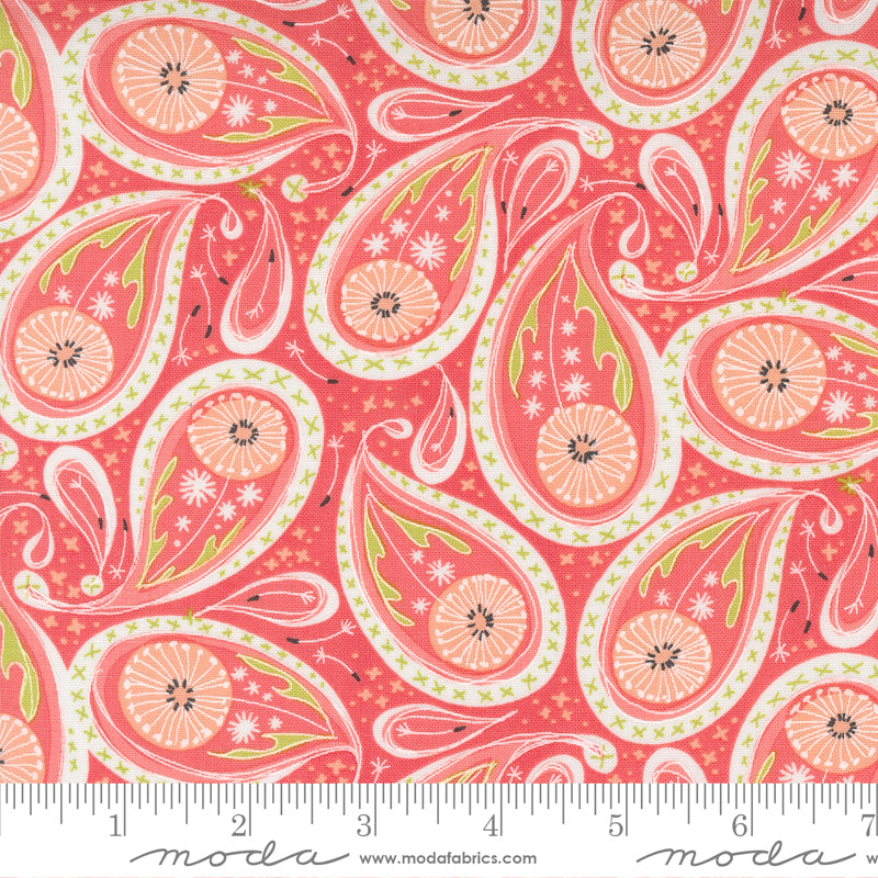 48753 15 Dandi Duo Coral By-the-Yard