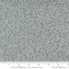 48754 16 Dandi Duo Slate By-the-Yard