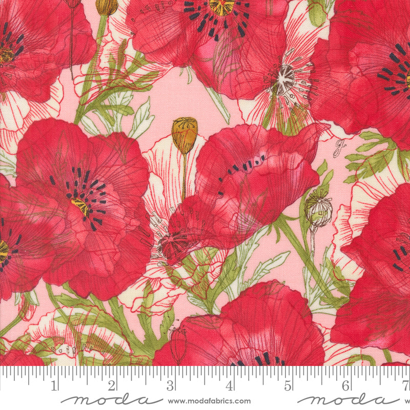 48781 19 Superbloom Carnation By-the-Yard