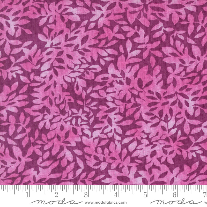 48787 12 Superbloom Dahlia By-the-Yard