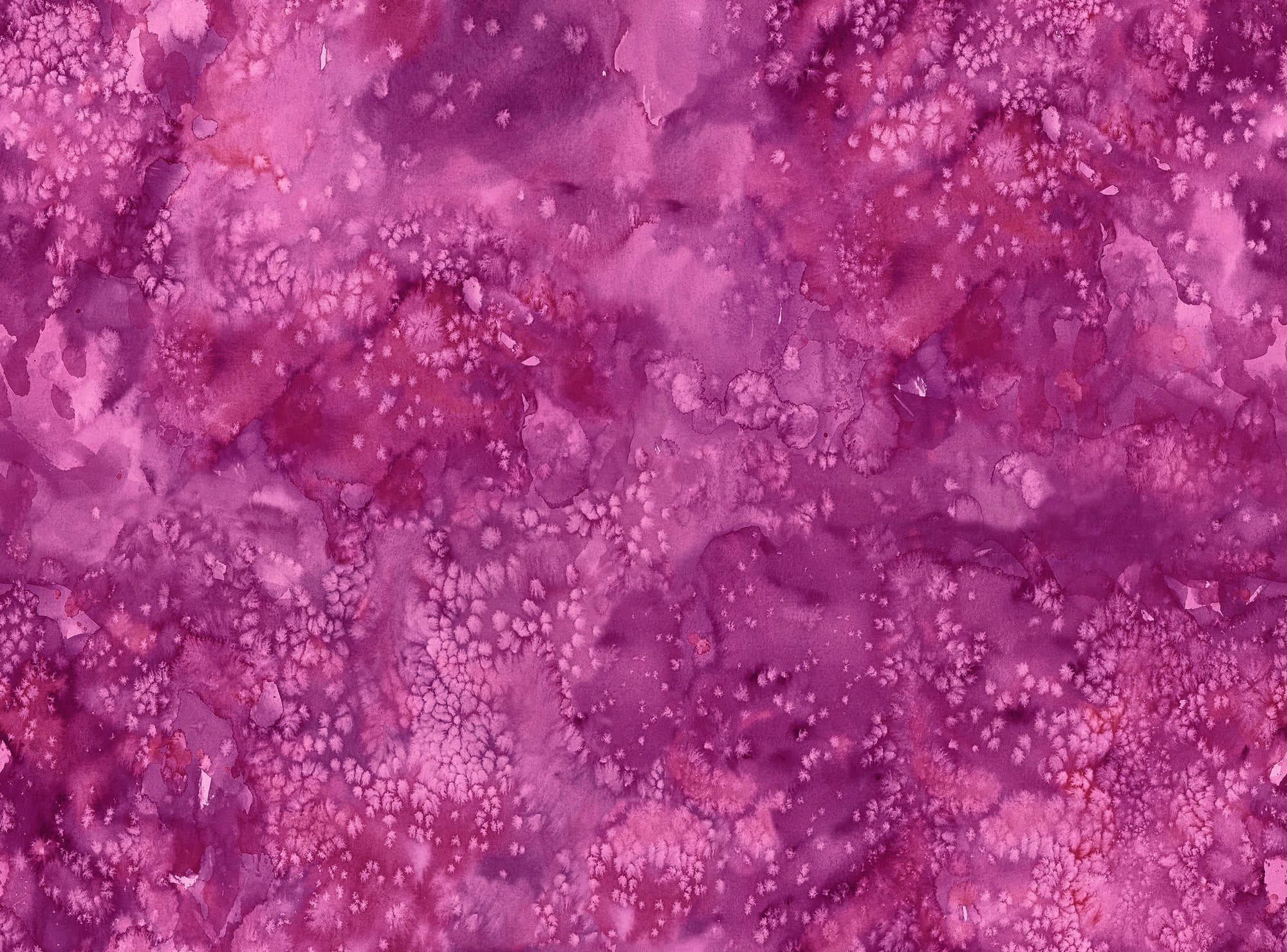 8433 42 Flow Basics Dahlia By-the-Yard