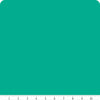 9900 108 Bella Solids Jade 21" End-of-Bolt Piece