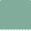 9900 109 Bella Solids Pond By-the-Yard