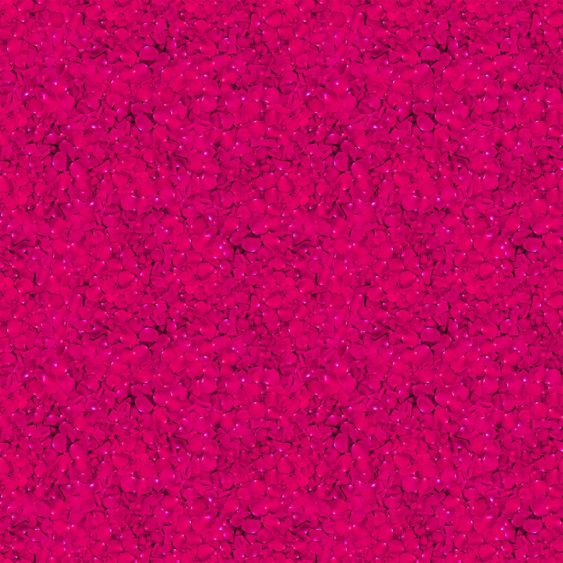 SDP23848 28 Budding Romance Rose Petals 18" End-of-Bolt Piece