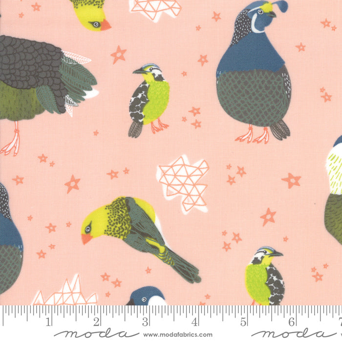 13321 16 Pacific Wanderings Coral By-the-Yard