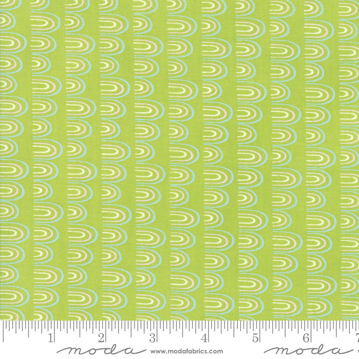 13325 15 Pacific Wanderings Fern By-the-Yard