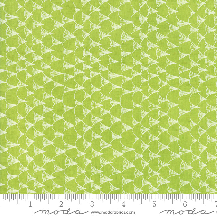13326 15 Pacific Wanderings Fern By-the-Yard