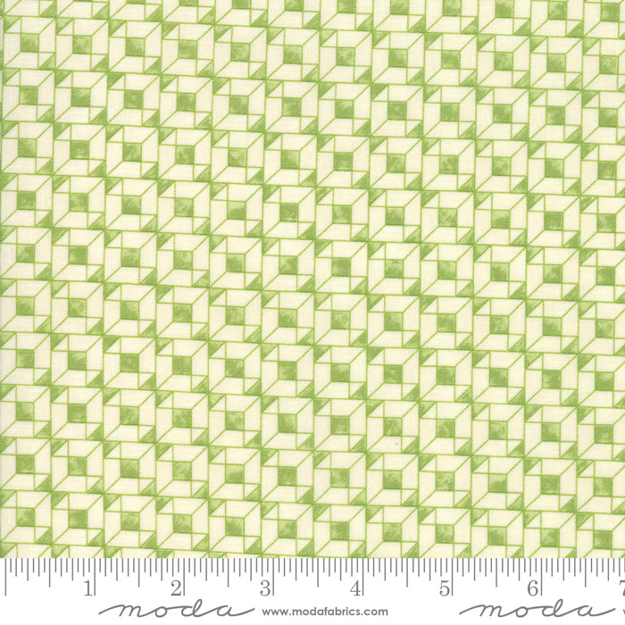 1491 17 Geometry Buckminster By-the-Yard