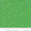 16735 17 Northern Light Holly Fat Quarter