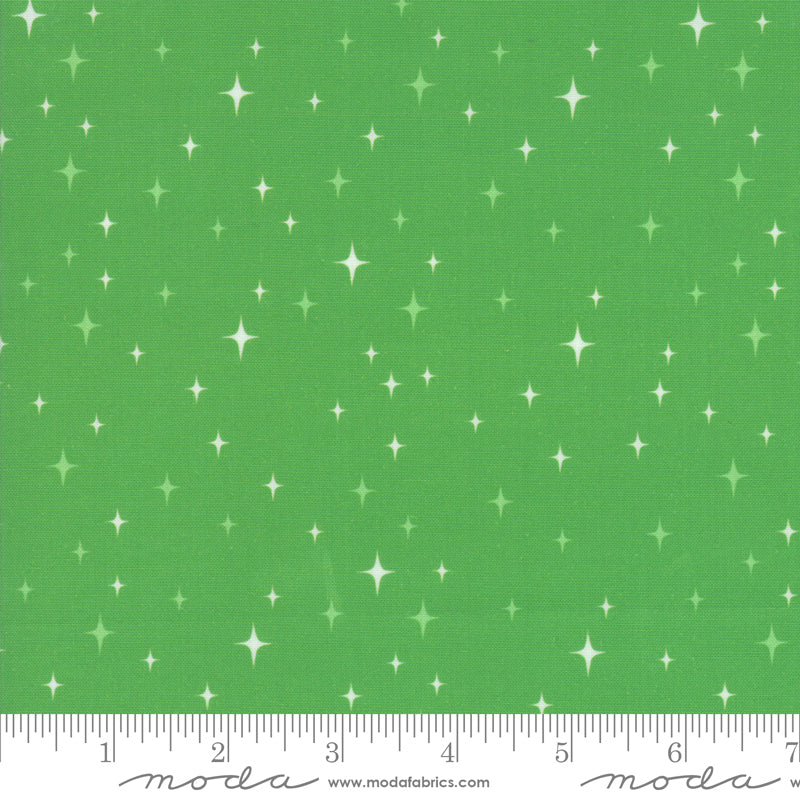 16735 17 Northern Light Holly Fat Quarter