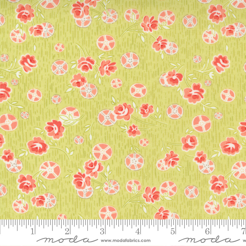 20403 15 Strawberries and Rhubarb Sprout By-the-Yard