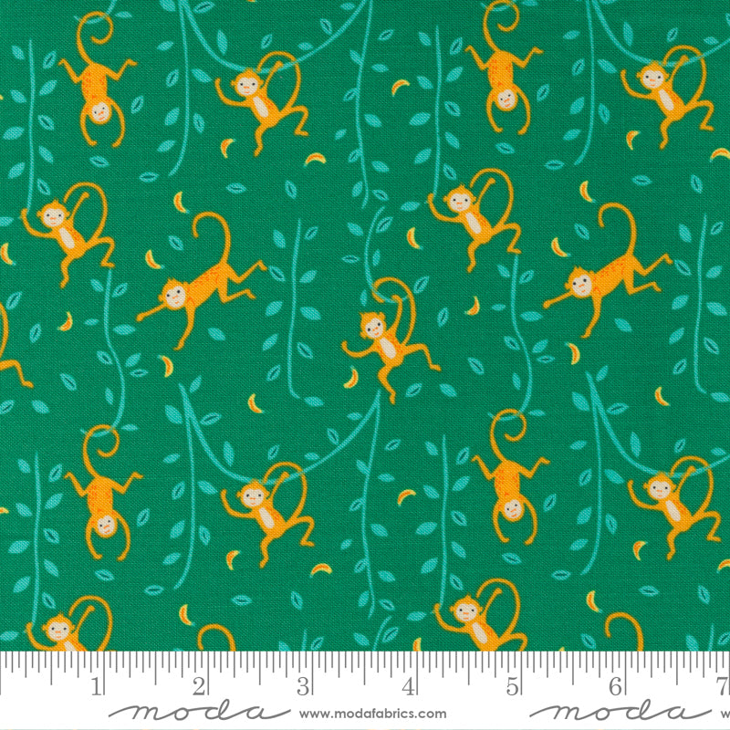 20784 21 Jungle Paradise Monstera By-the-Yard