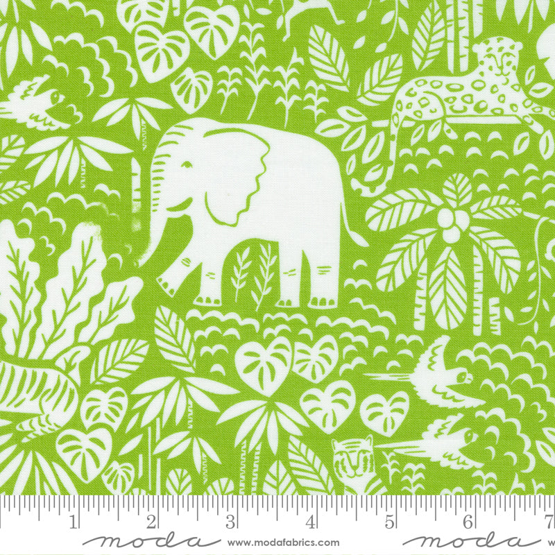 20785 19 Jungle Paradise Seedling By-the-Yard