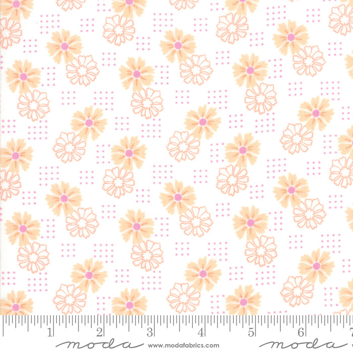 22376 17 Good Day Orange Fat Quarter