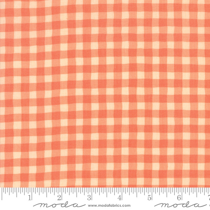 22378 17 Good Day Orange By-the-Yard