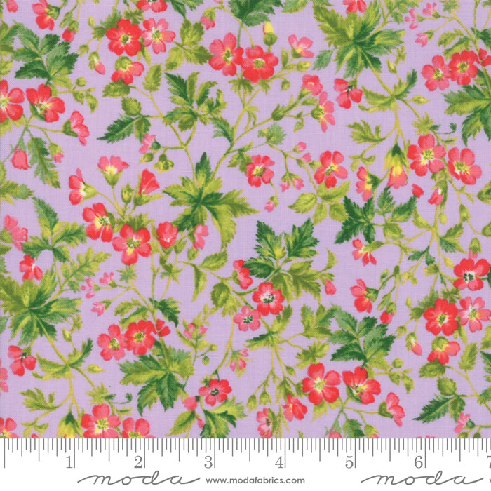 33382 12 Wildflowers IX Lilac By-the-Yard